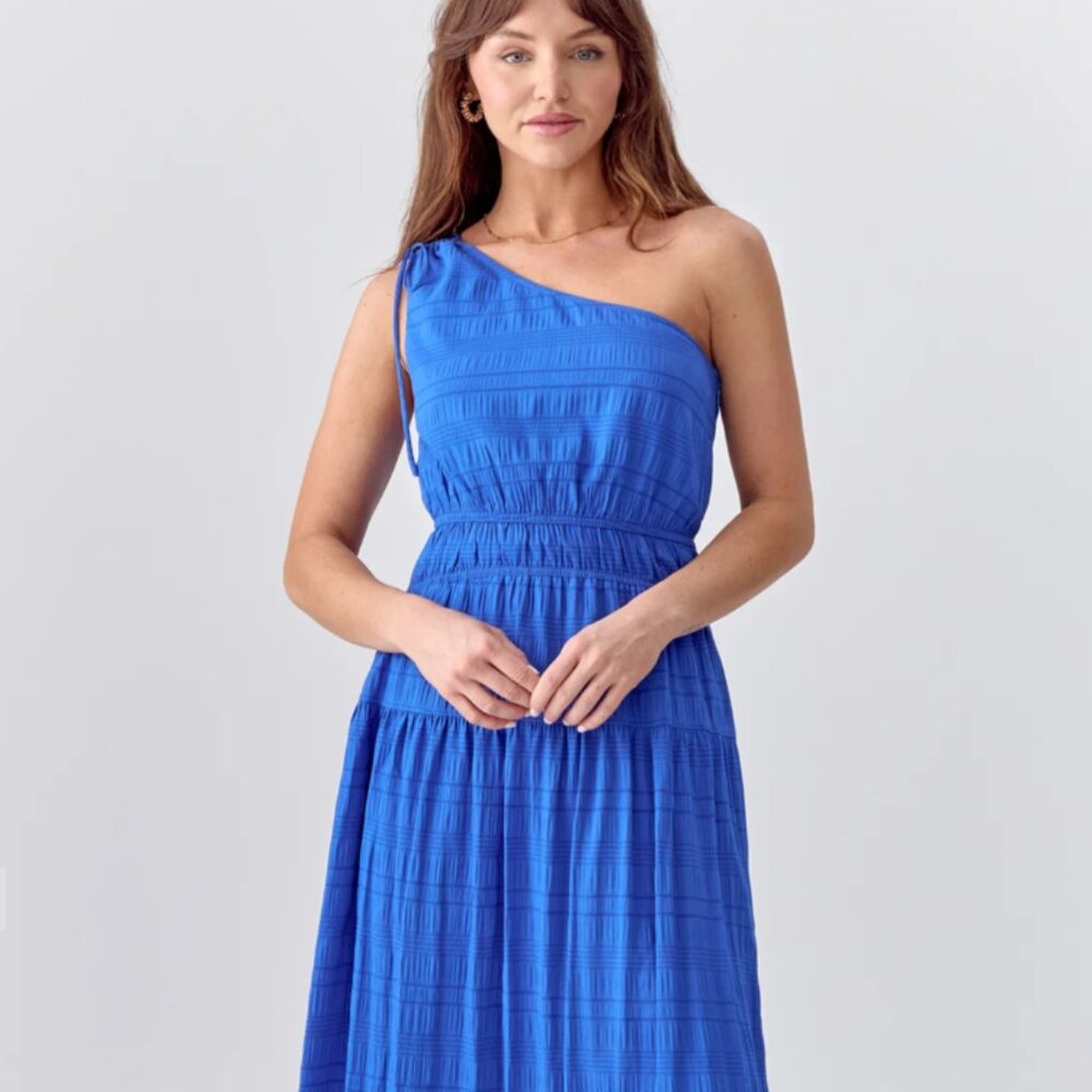 Greylin Whitney One Shoulder Midi Dress